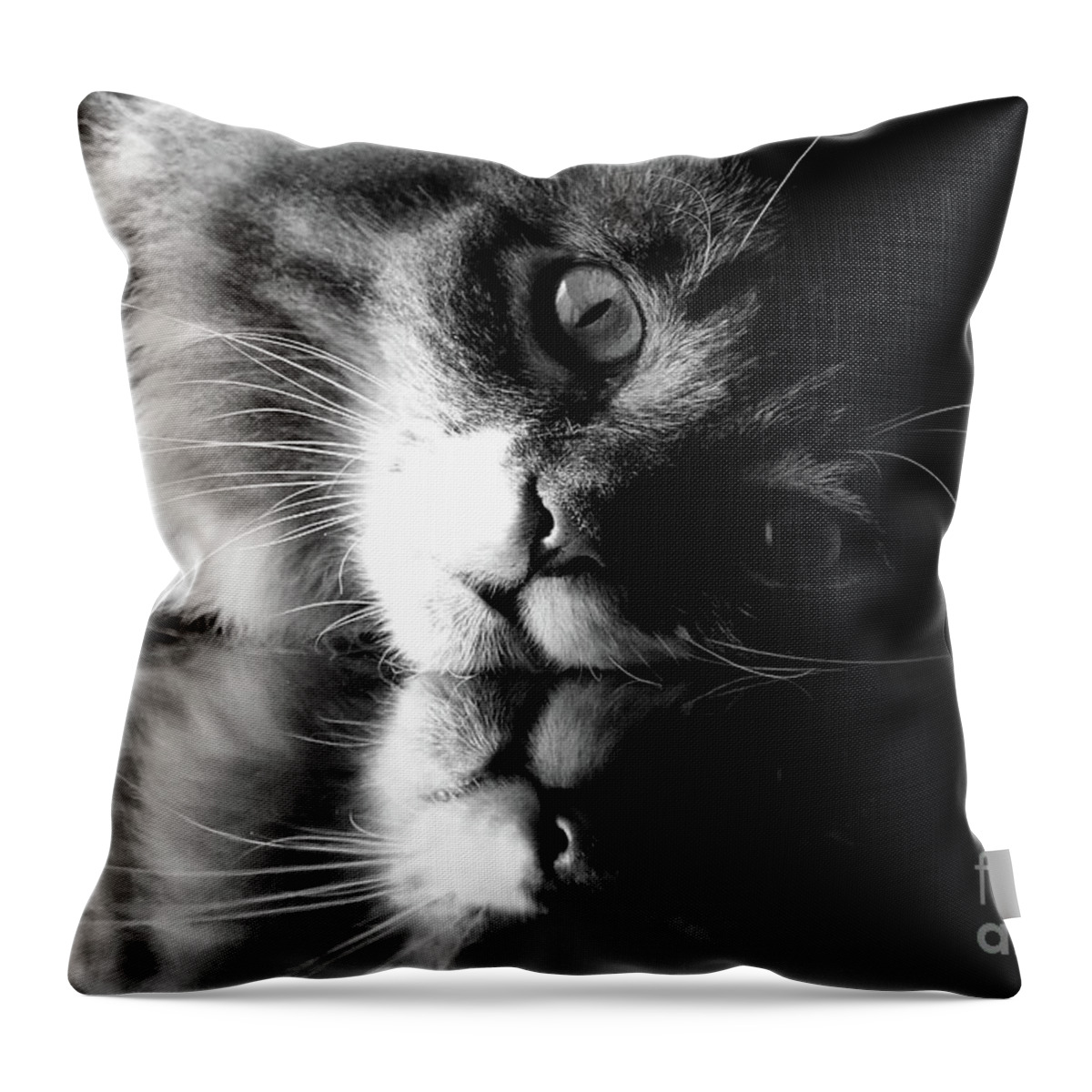 Animal Throw Pillow featuring the photograph Reflective by Susan Herber