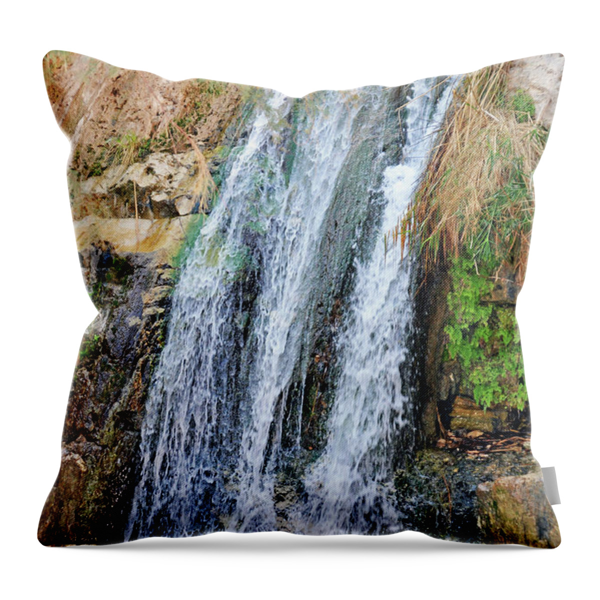 Refreshing Throw Pillow featuring the photograph Refreshing Waters by Lydia Holly