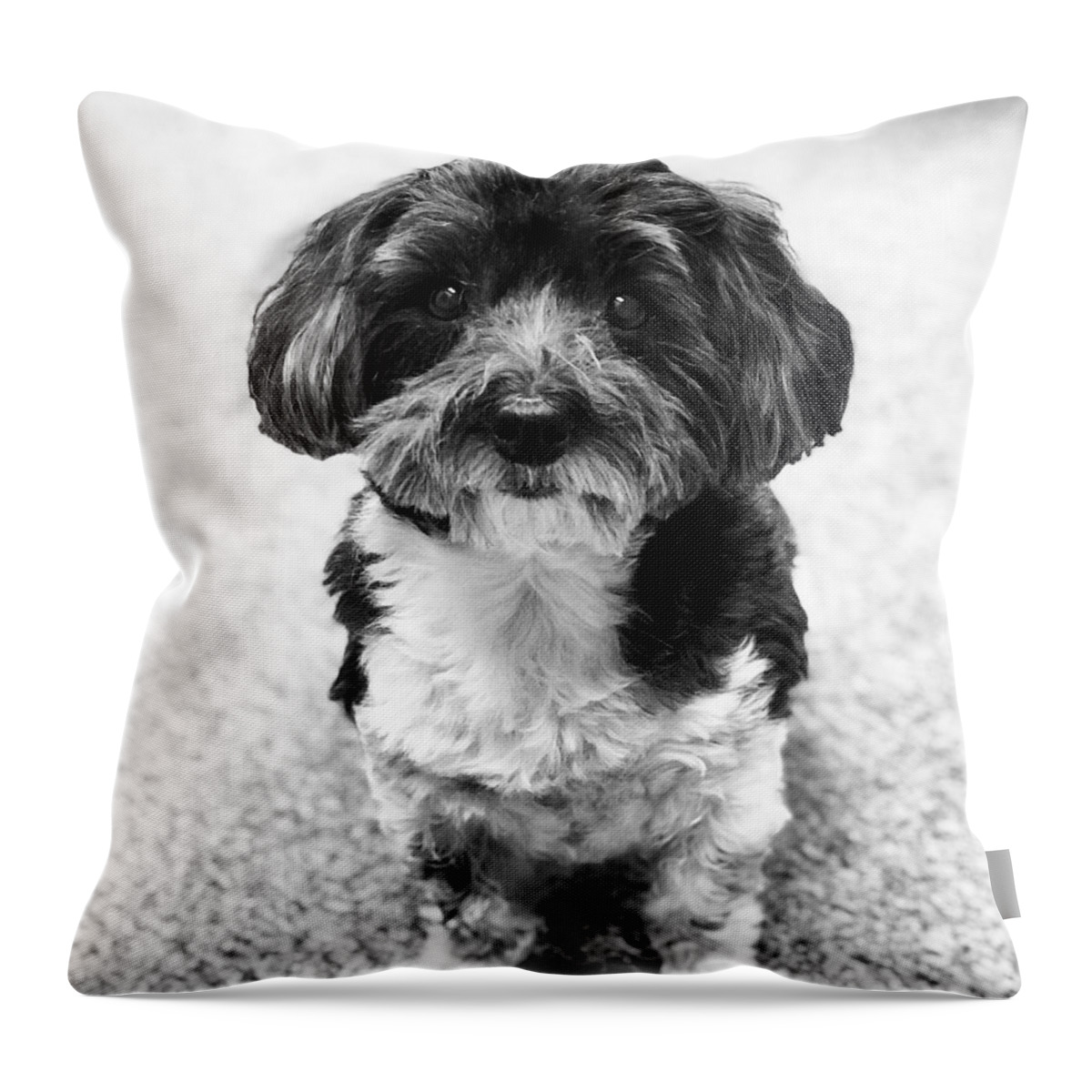  Throw Pillow featuring the digital art Reggie by Allie Maher