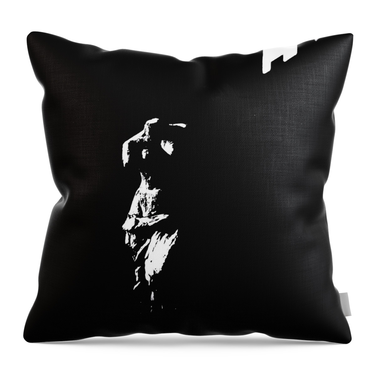 Venus Throw Pillow featuring the photograph Reinventing Venus by Al Harden