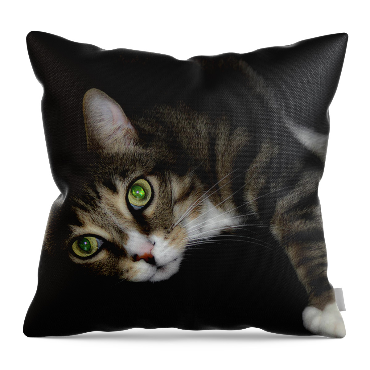 Cat Throw Pillow featuring the photograph Relaxation by Mike Eingle