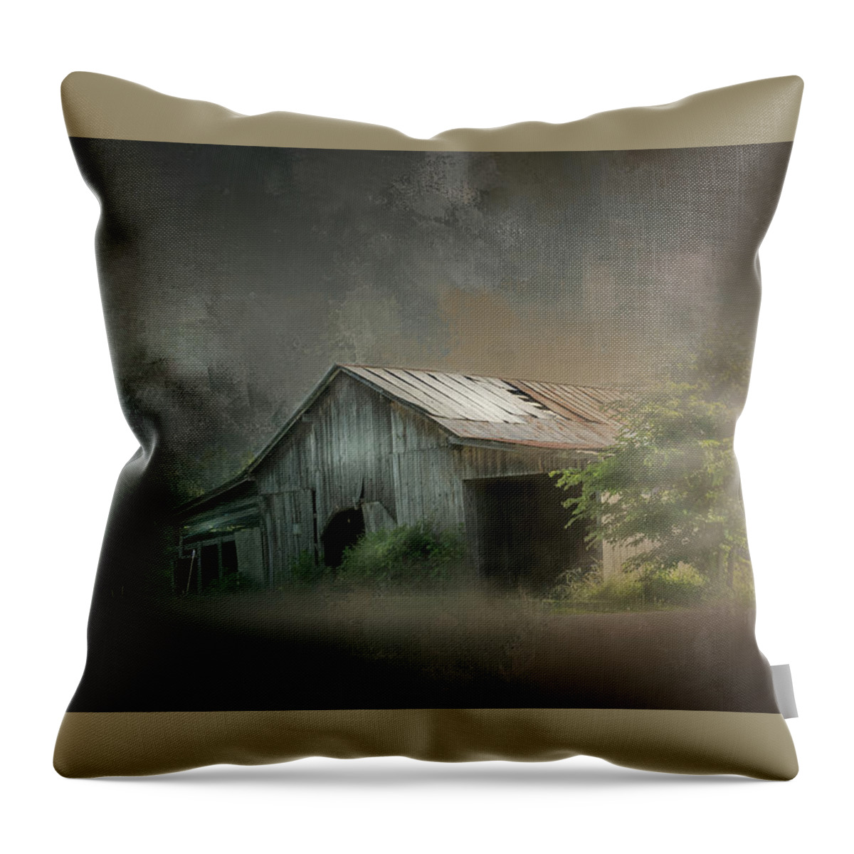 Barn Throw Pillow featuring the photograph Relic Of The Past by Marvin Spates