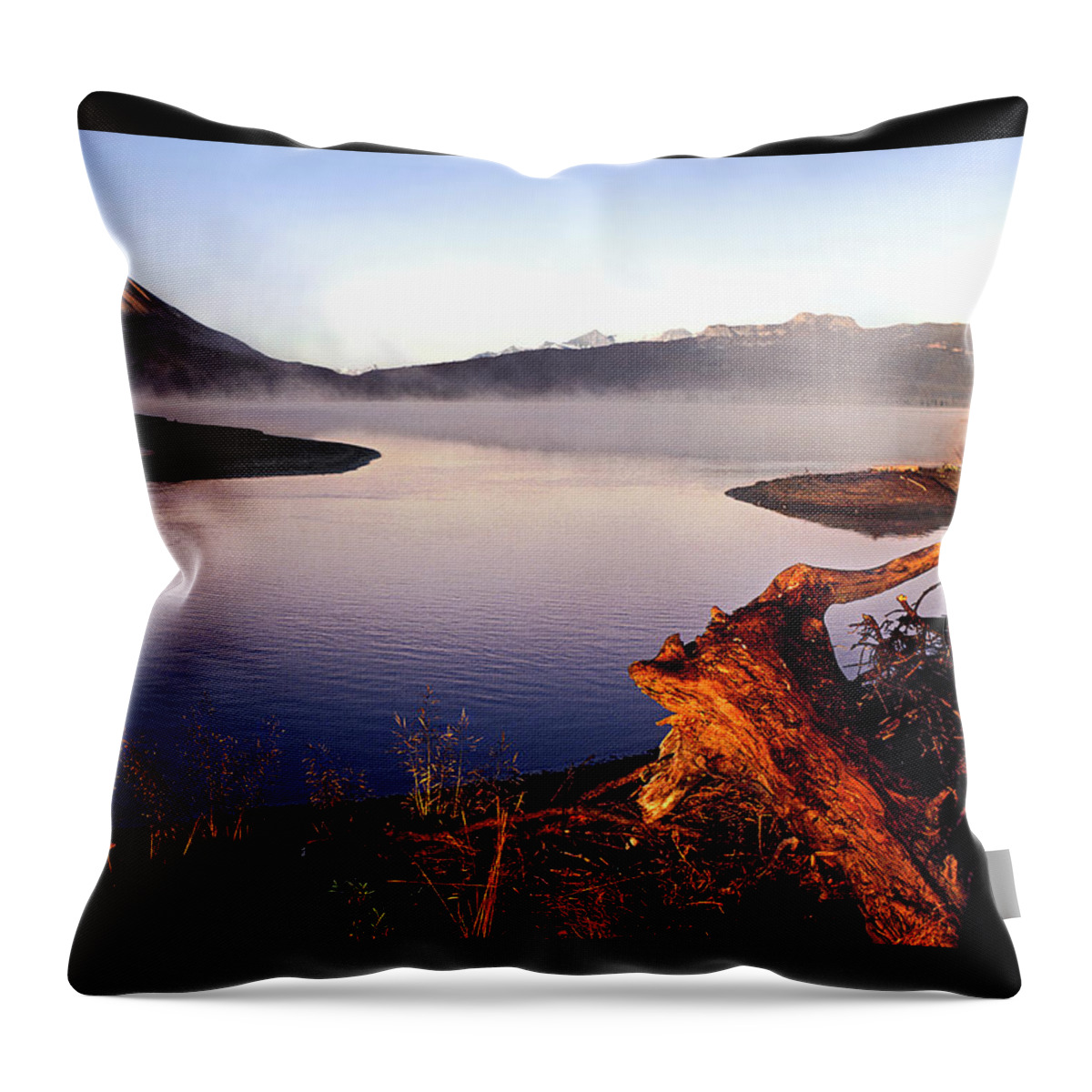 The Walkers Throw Pillow featuring the photograph Remains of the Day by The Walkers