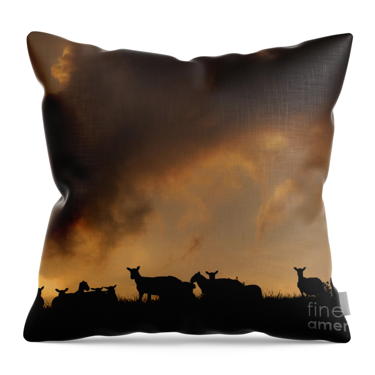 Sheep Throw Pillow featuring the photograph Remedy For The Insomnia by Ang El