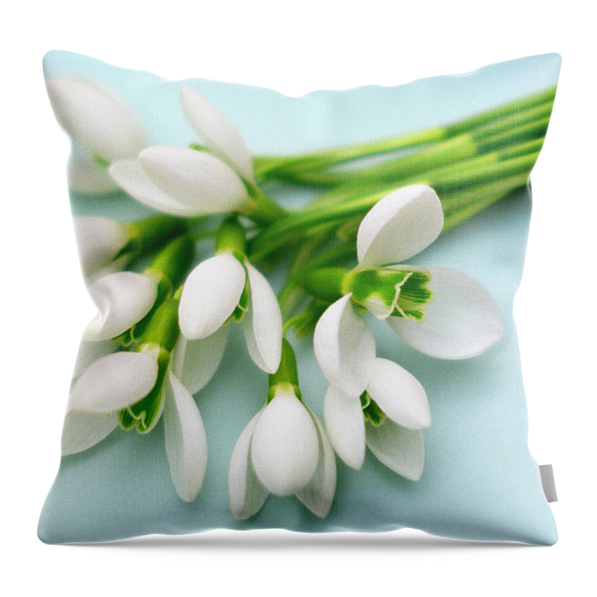 Jigsaw Throw Pillow featuring the photograph Remembrance by Carole Gordon