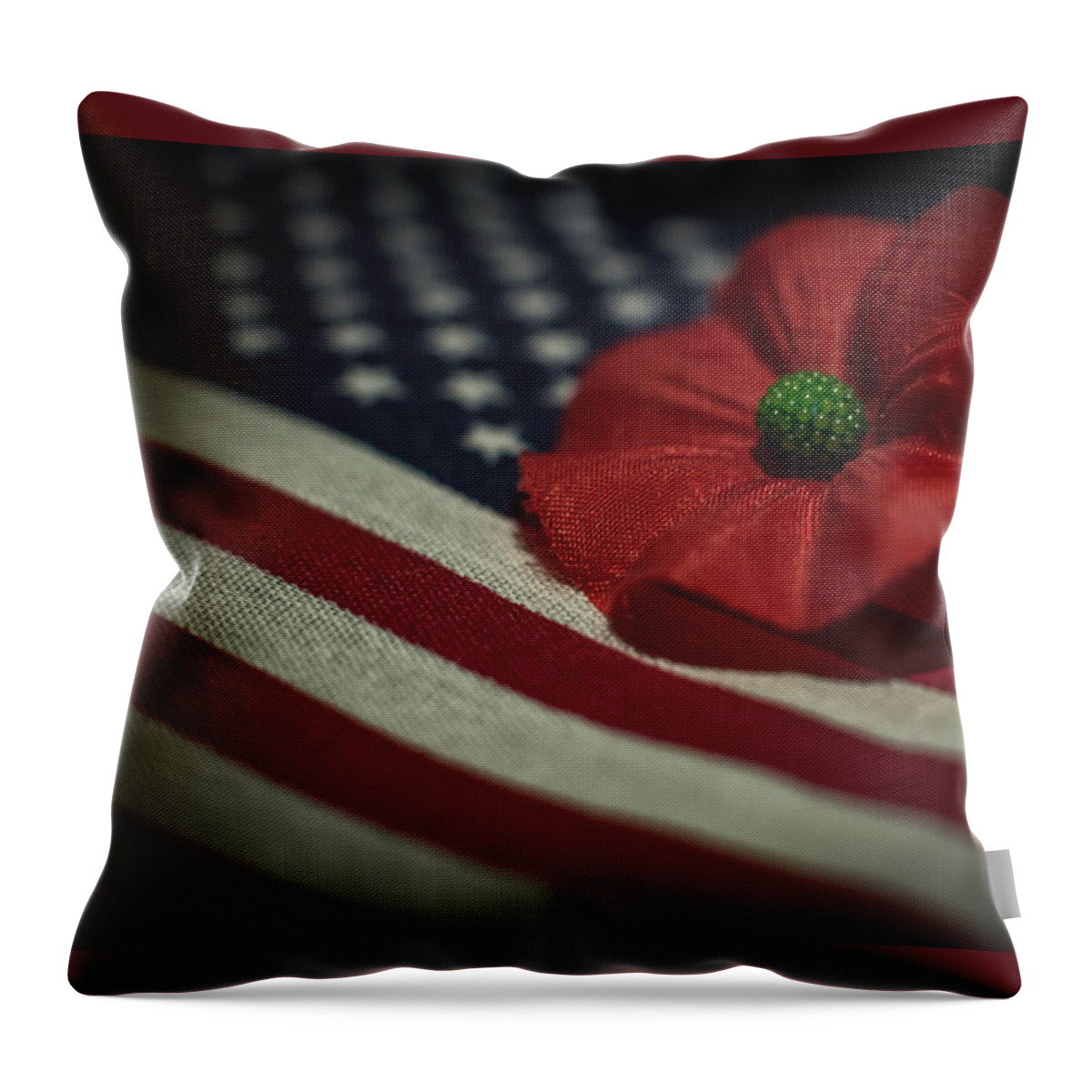 Terry D Photography Throw Pillow featuring the photograph Remembrance USA Flag by Terry DeLuco