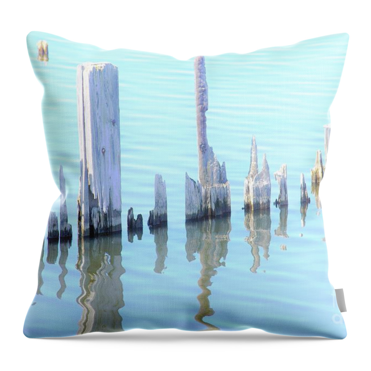 Remnants Throw Pillow featuring the photograph Remnants 2 by Merle Grenz