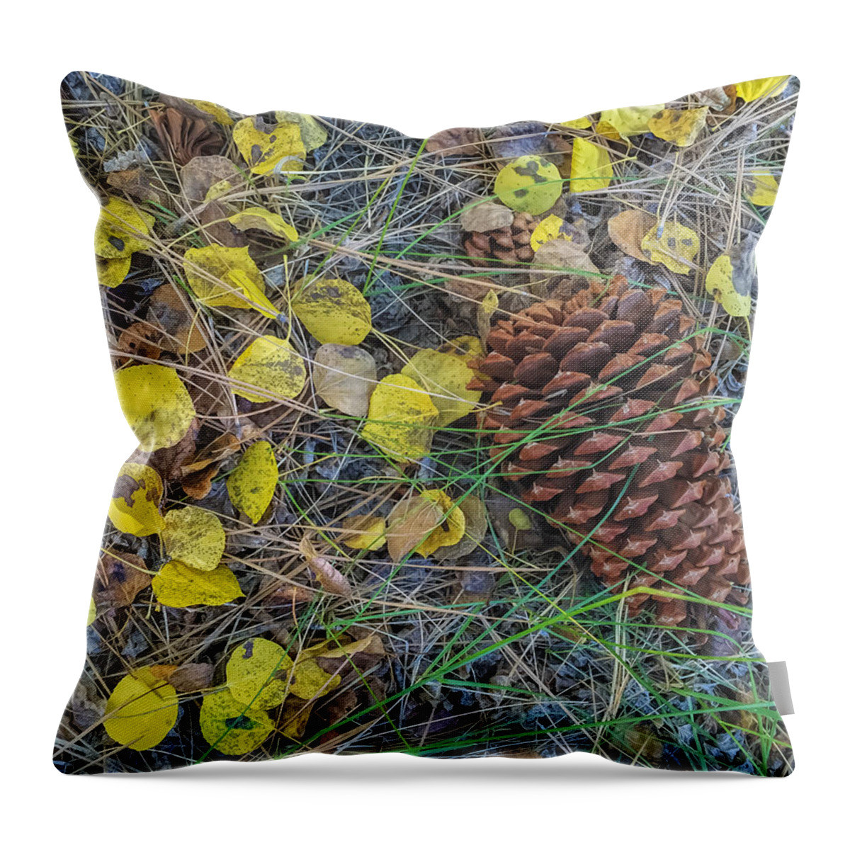 Fall Throw Pillow featuring the photograph Remnants by Jonathan Nguyen