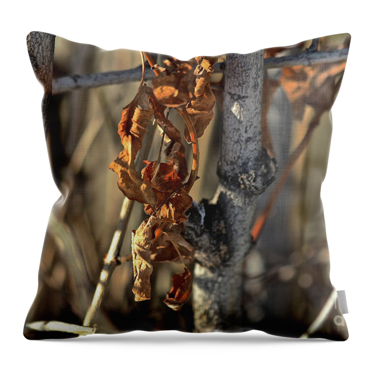 Fall Throw Pillow featuring the photograph Remnants of Fall by Ann E Robson