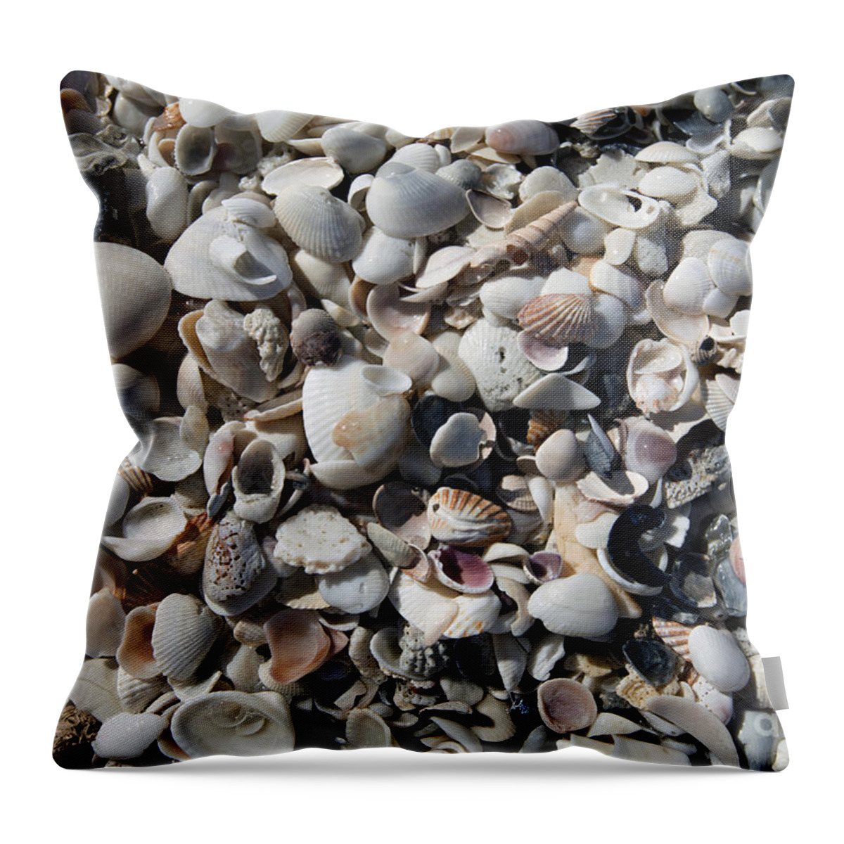 Sea Shells Throw Pillow featuring the photograph Remnants by Terri Winkler