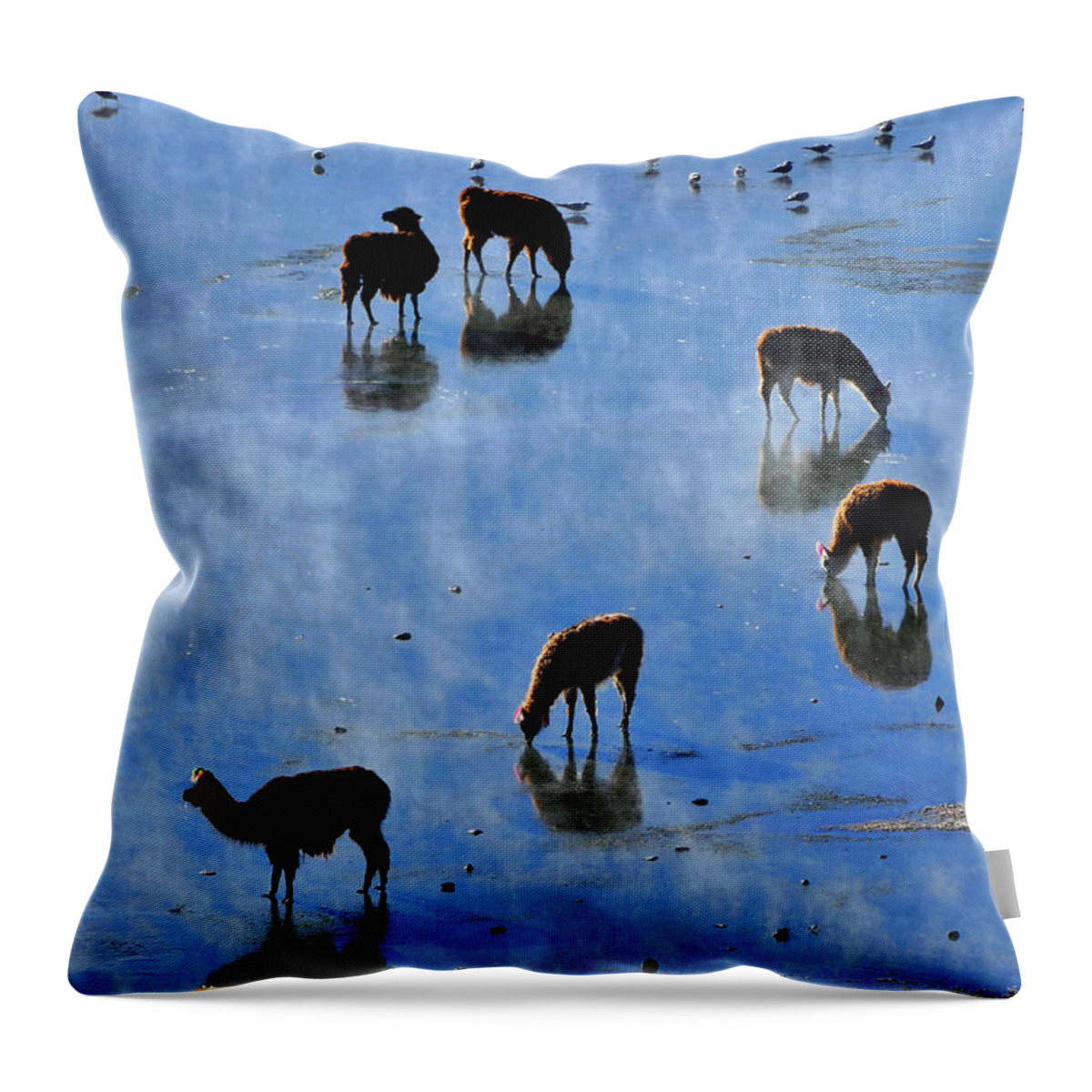 Rendezvous Throw Pillow featuring the photograph Rendezvous by Skip Hunt