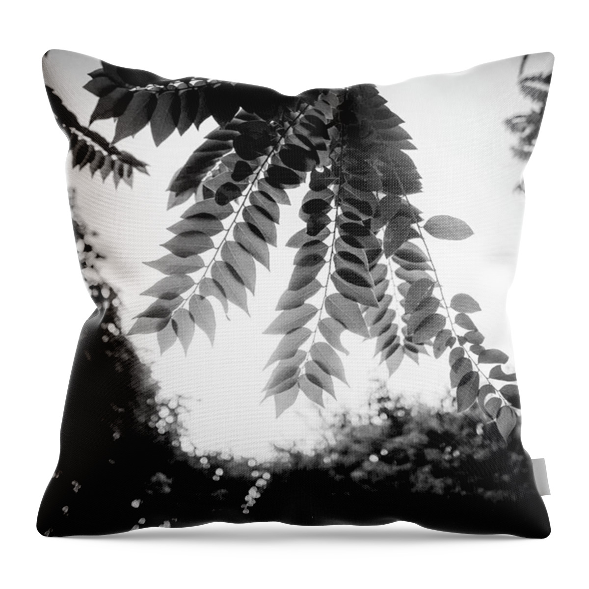 Littlebeauty Throw Pillow featuring the photograph Repeating Patterns by Aleck Cartwright