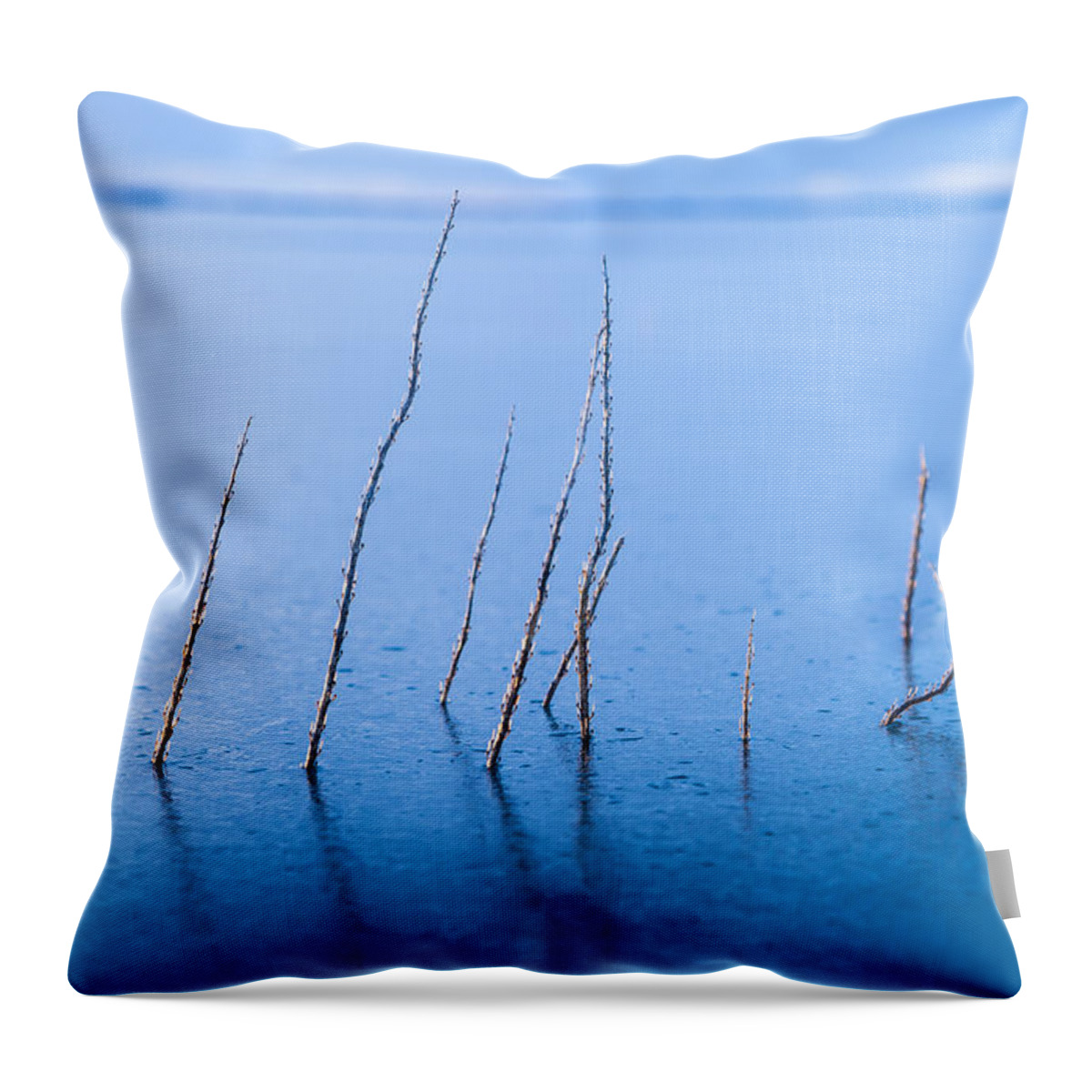 Alaska Throw Pillow featuring the photograph Resilient by Scott Slone