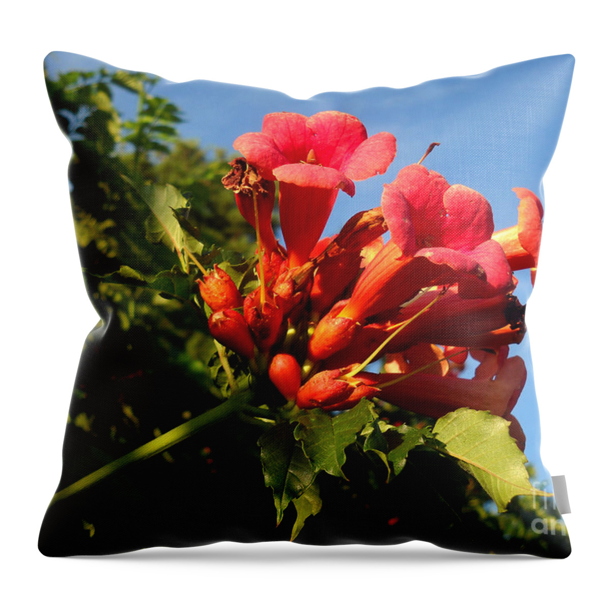 Red Throw Pillow featuring the photograph Resplendent Imperfection by Amanda Jones