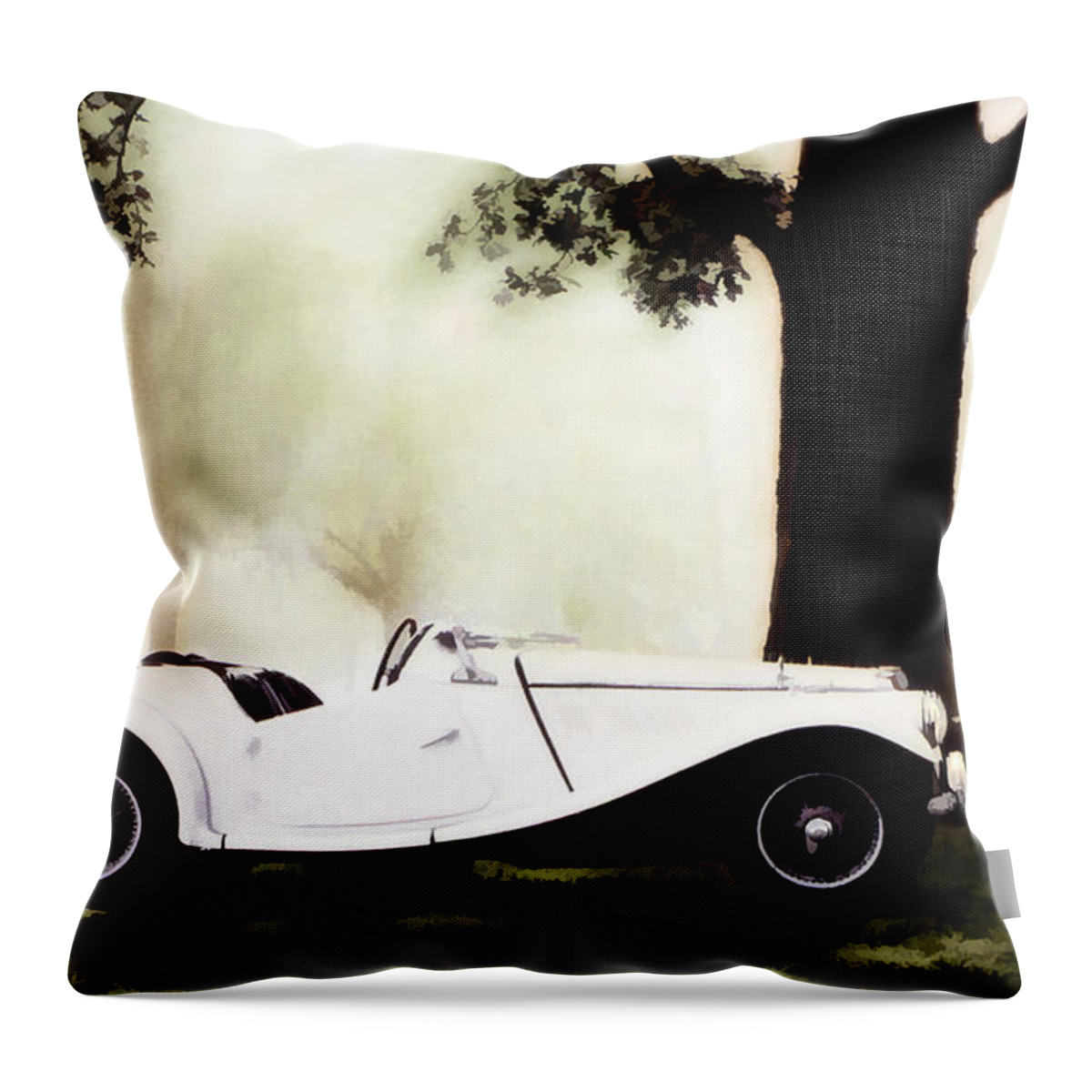 Historic Throw Pillow featuring the photograph Rest Stop by Sam Davis Johnson