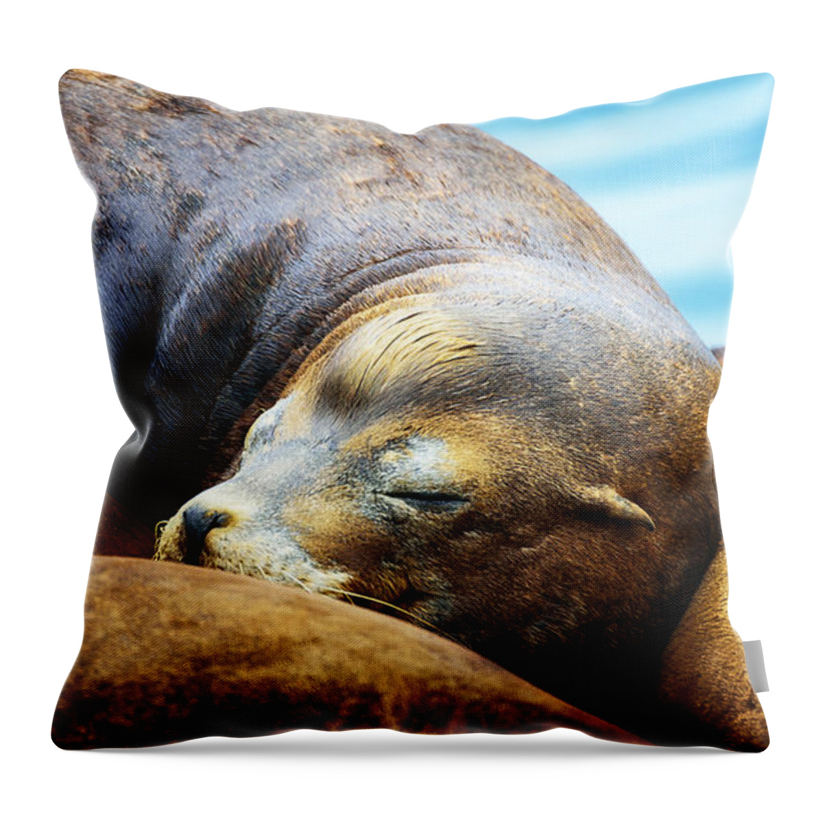 Seal Throw Pillow featuring the photograph Resting by Camille Lopez