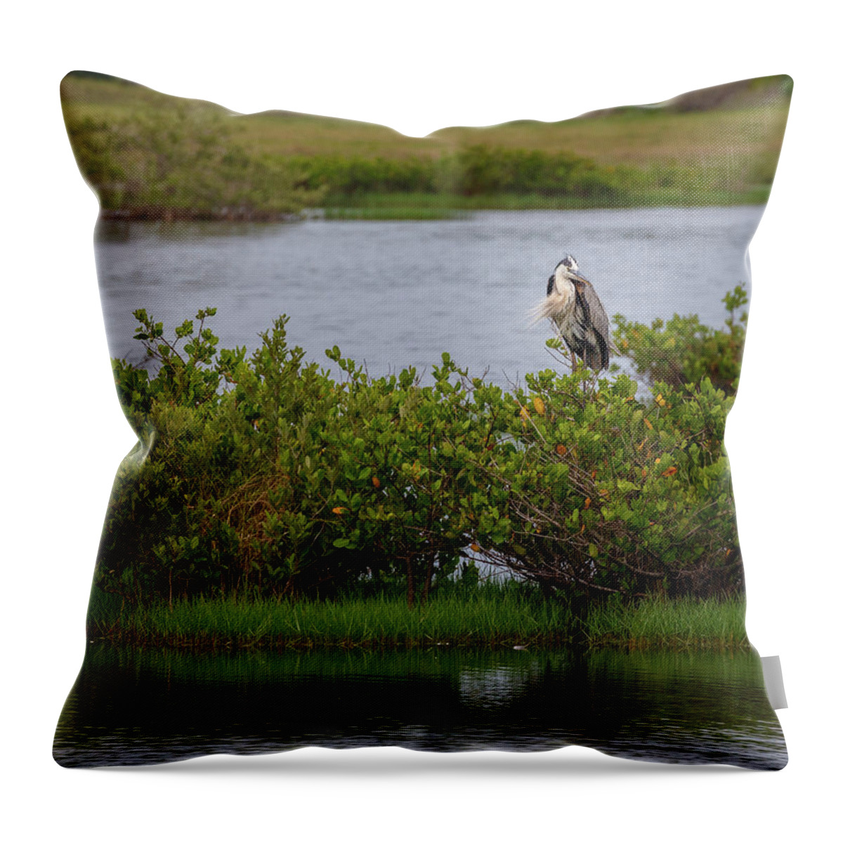 Bird Throw Pillow featuring the photograph Resting Heron by Les Greenwood