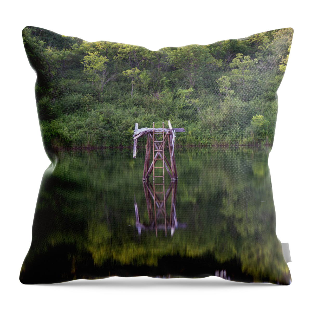 America Throw Pillow featuring the photograph Resting in the Waters - Route 66 Watering Hole by Gregory Ballos