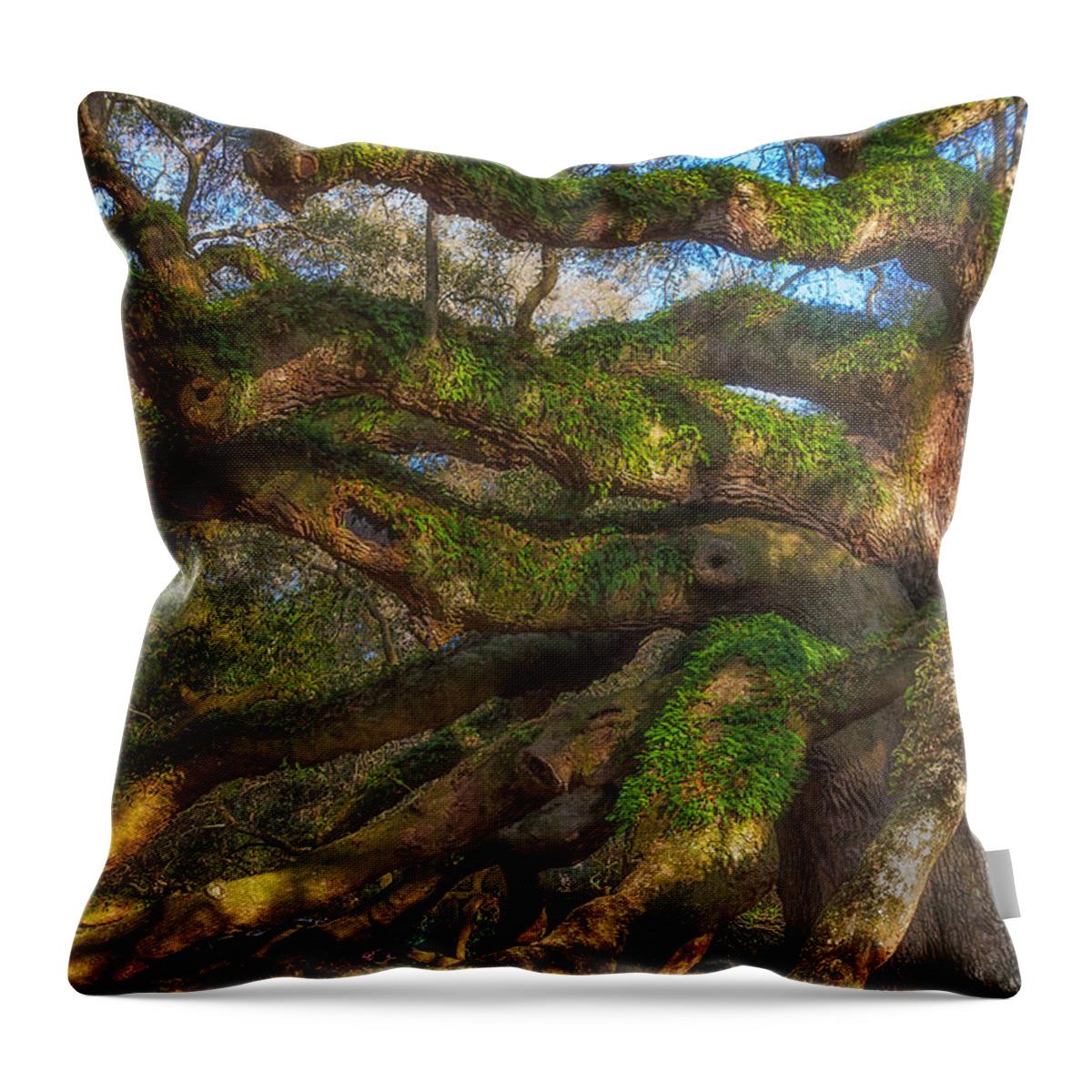 Tree Throw Pillow featuring the photograph Resurrection Fern dons Angel Oak by Patricia Schaefer