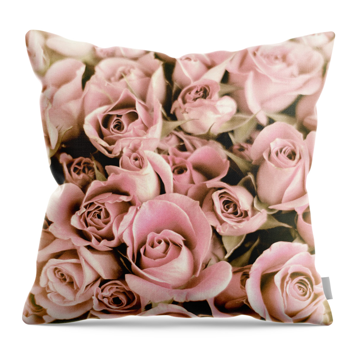 Roses Throw Pillow featuring the photograph Reticent Rose by Jessica Jenney