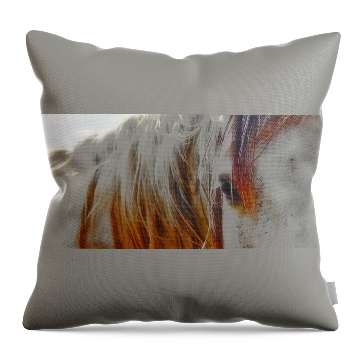 Retro Throw Pillow featuring the photograph Retro Sunlight and Grey by Amanda Smith