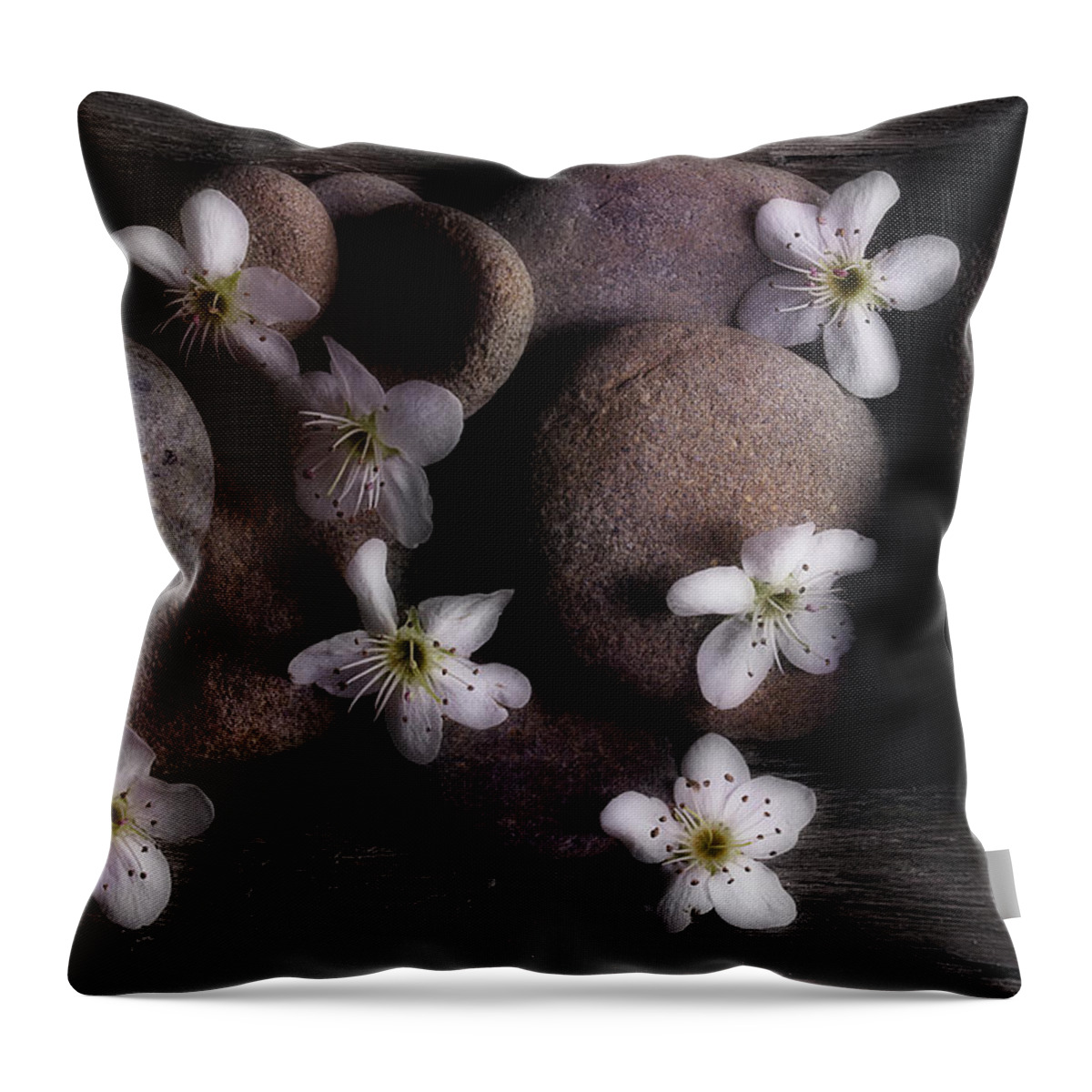 Spring Throw Pillow featuring the photograph Return To Me by Mike Eingle