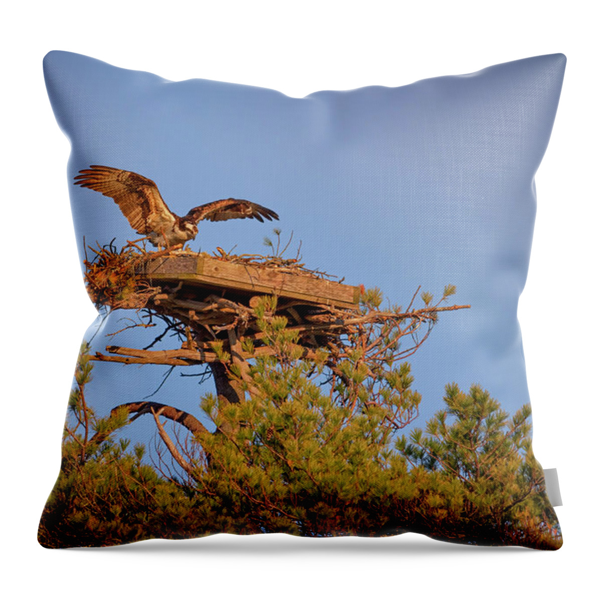 Osprey Throw Pillow featuring the photograph Returning to the Nest by Rick Berk