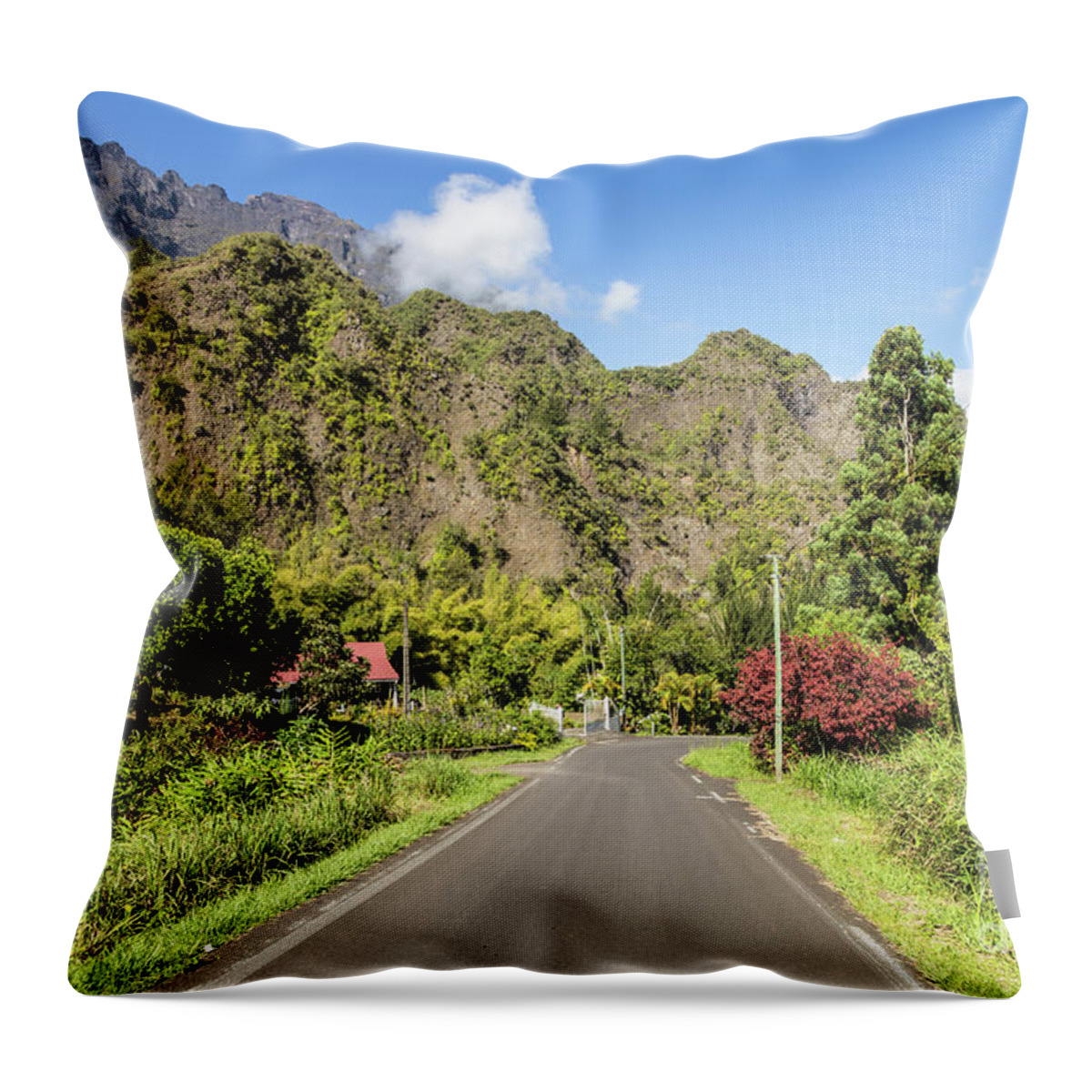 France Throw Pillow featuring the photograph Reunion island by Didier Marti