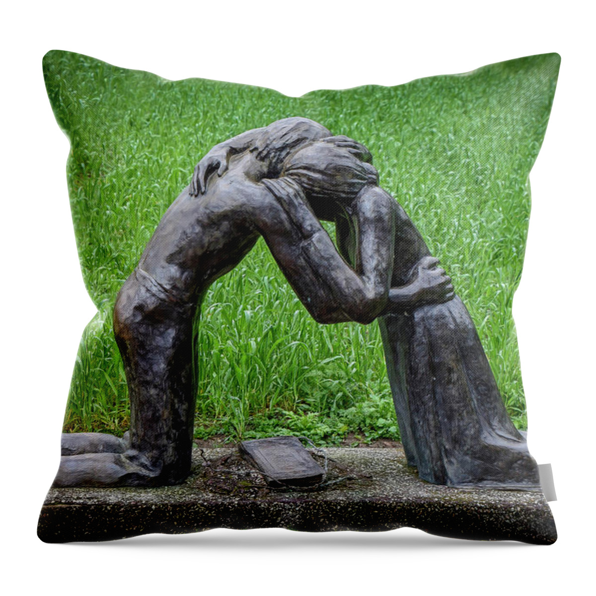 Sculpture Throw Pillow featuring the photograph Reunited by Will Wagner