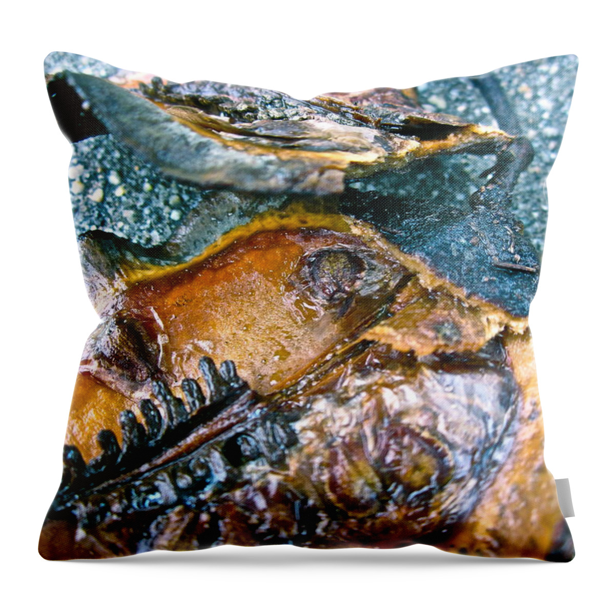 Tree Pod Throw Pillow featuring the photograph Revealing Tree Pod by Gwyn Newcombe