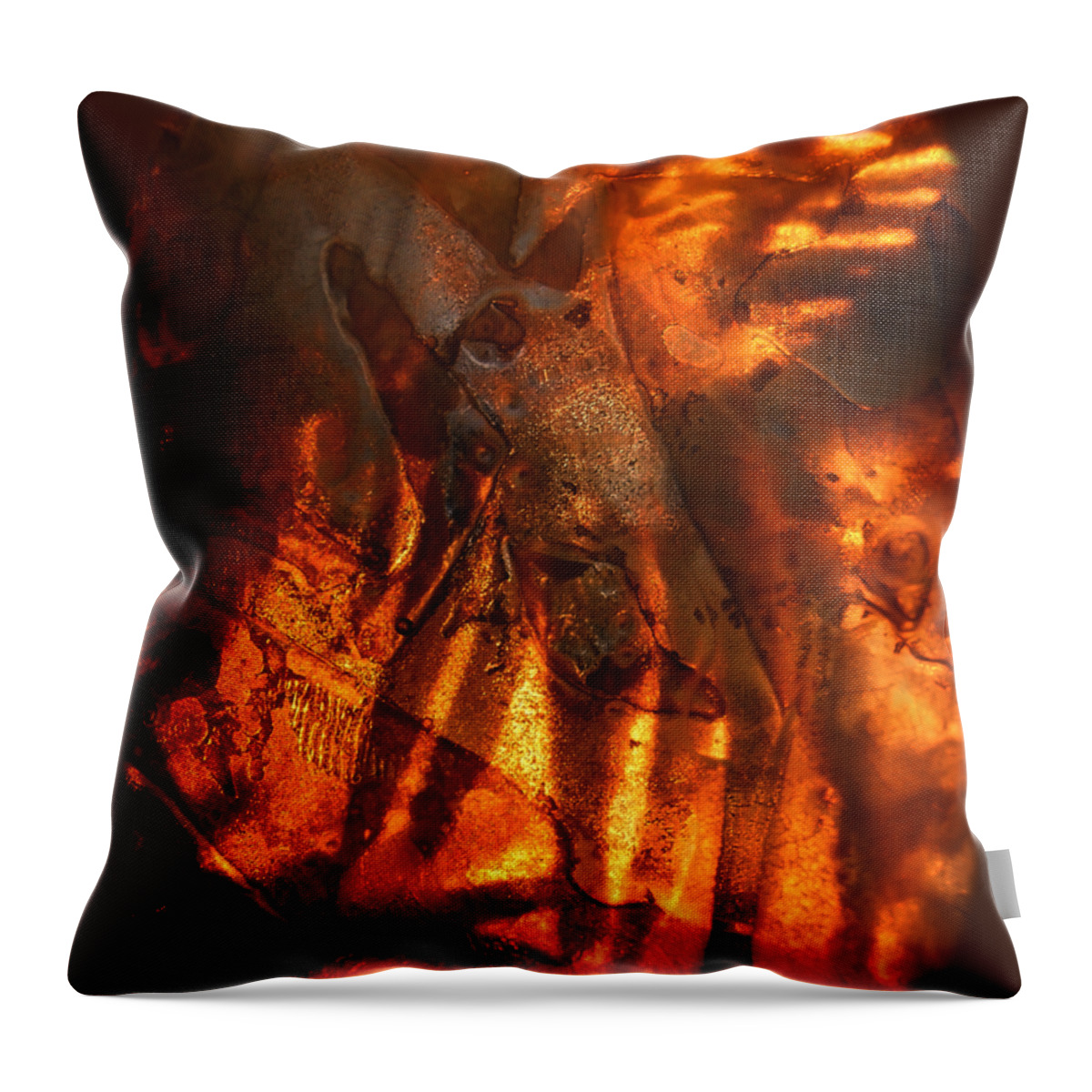 Abstract Throw Pillow featuring the photograph Revelation by Sami Tiainen