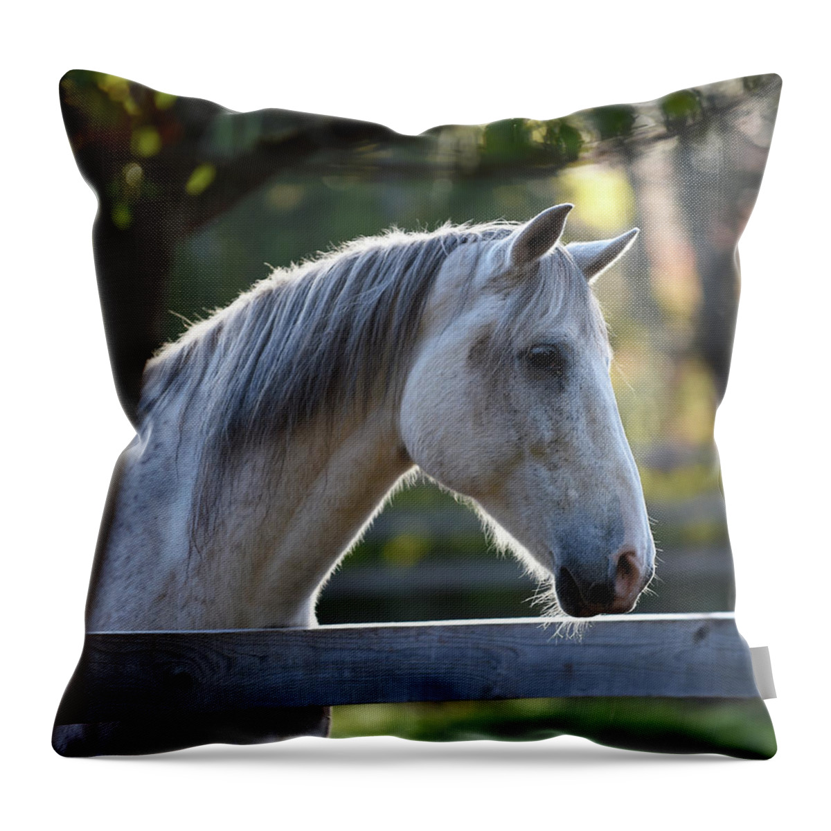 Rosemary Farm Throw Pillow featuring the photograph Christian by Carien Schippers