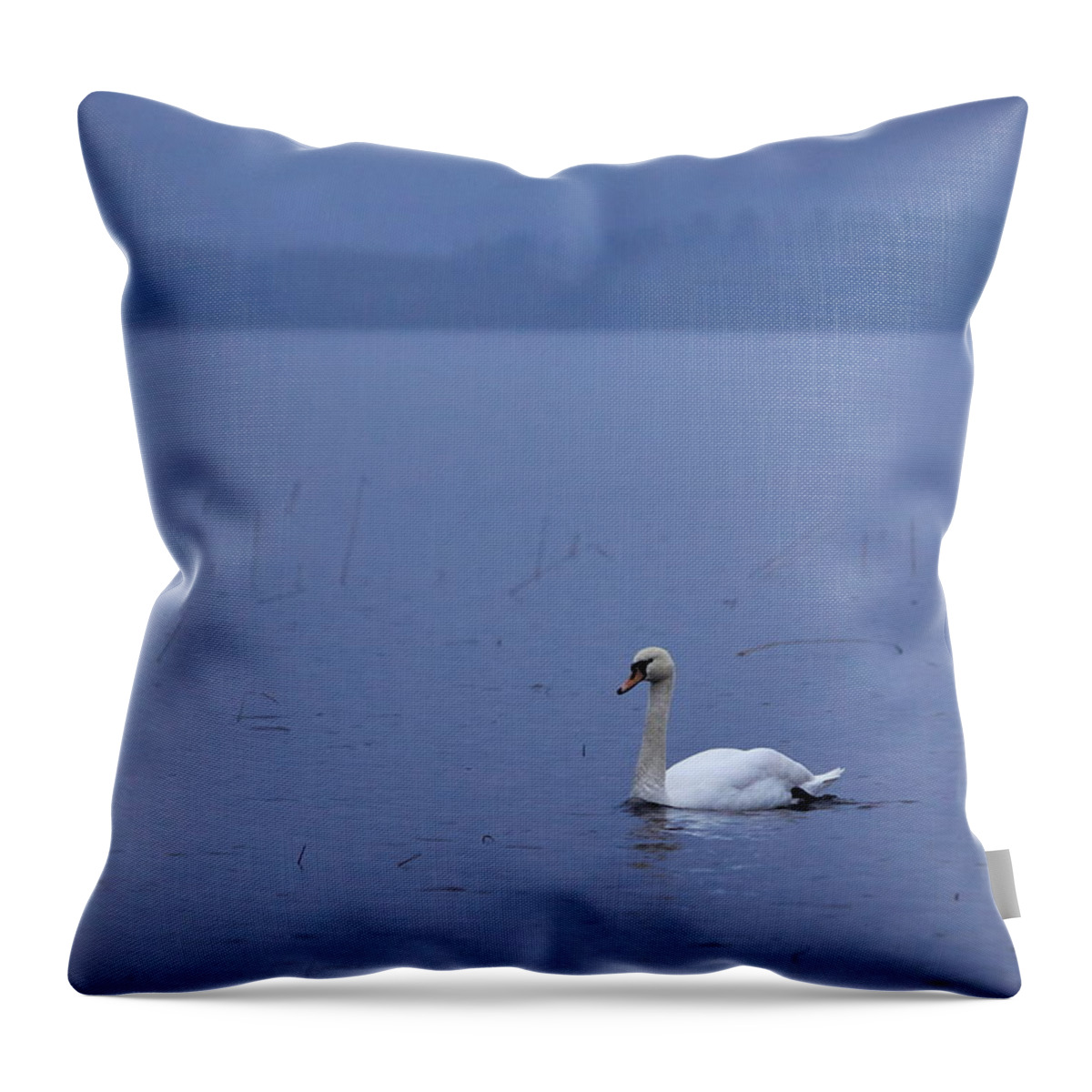 Finland Throw Pillow featuring the photograph Rhapsody in Blue. Mute Swan by Jouko Lehto