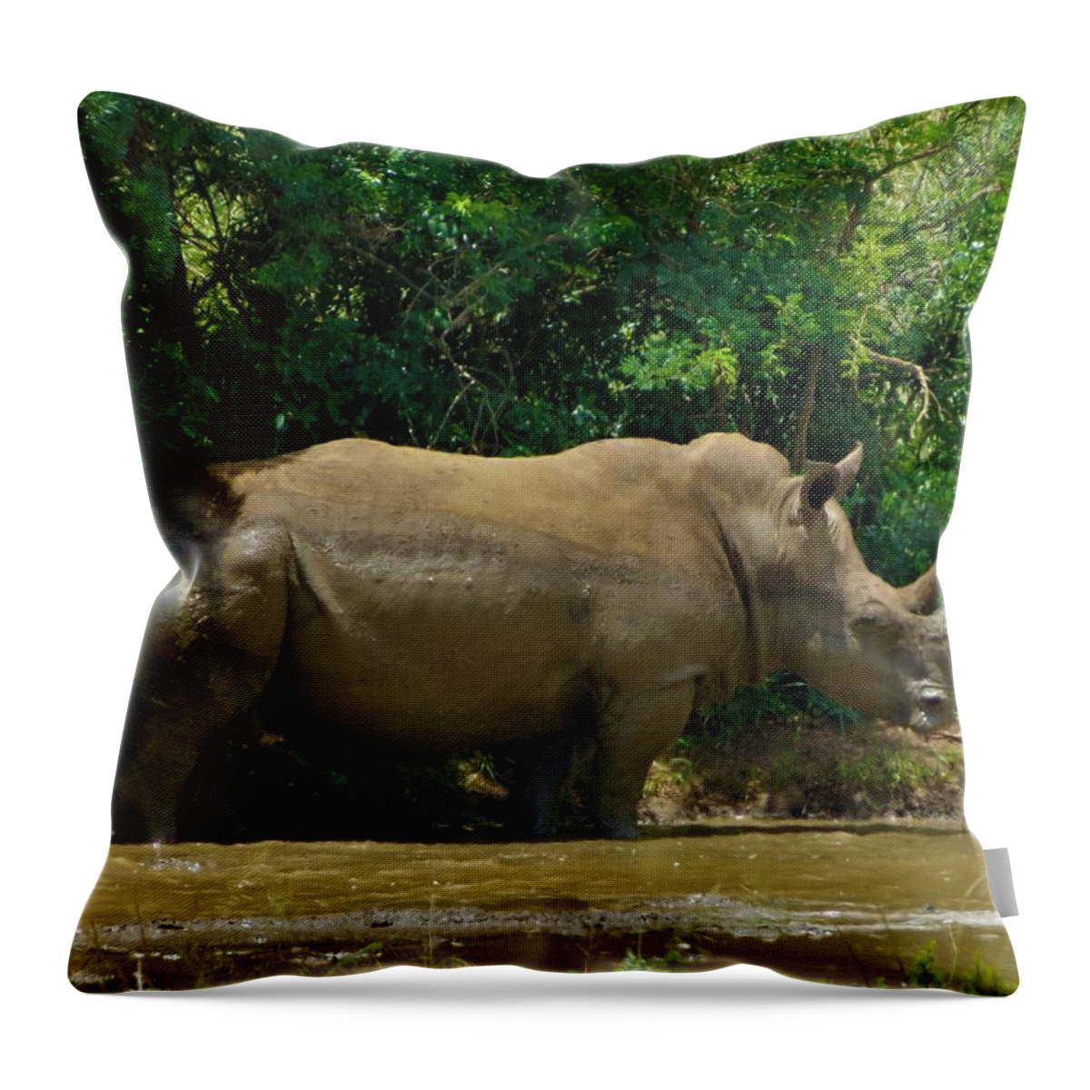 Rhino Throw Pillow featuring the photograph Rhino 1 by Vijay Sharon Govender