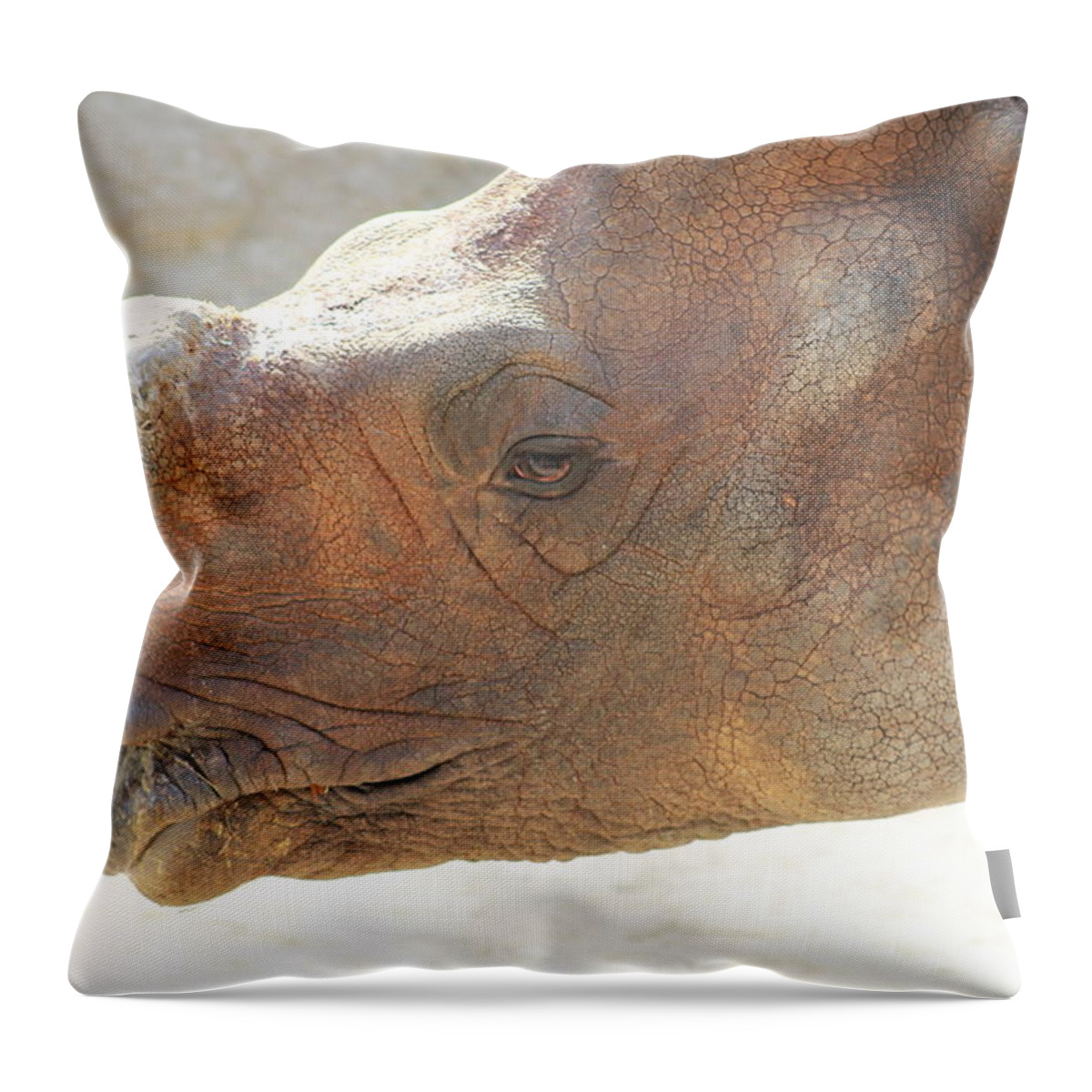 Rhino Throw Pillow featuring the photograph Rhino by Stacy Mcwhorter