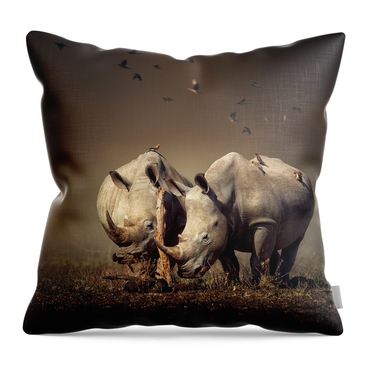 Rhinoceros Throw Pillow featuring the photograph Rhino's with birds by Johan Swanepoel