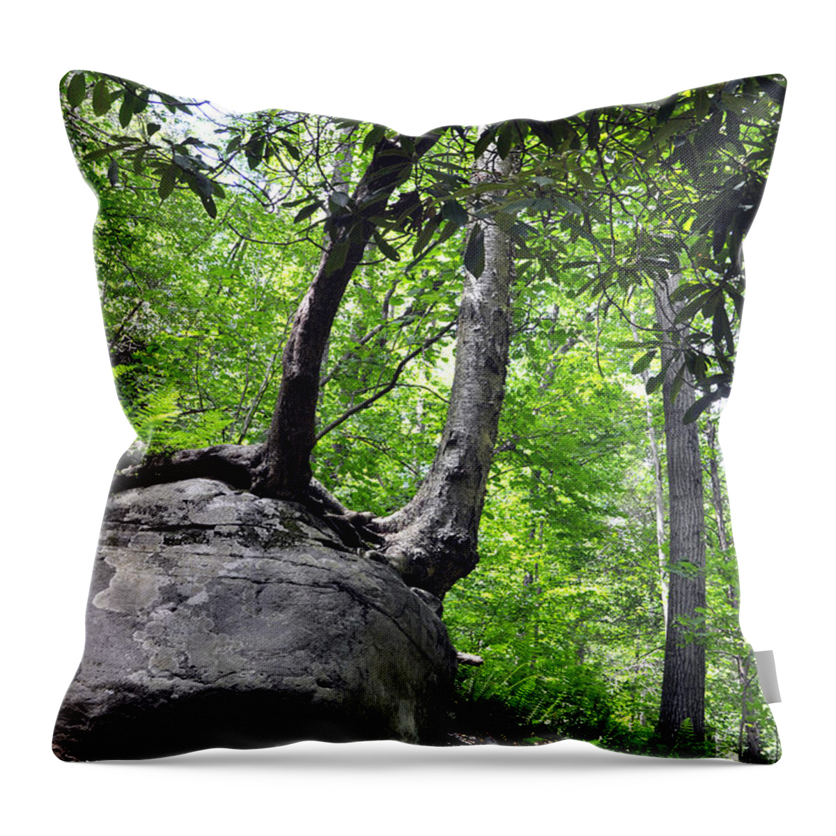 Rhododendron Throw Pillow featuring the photograph Rhododendron by Andrew Dinh