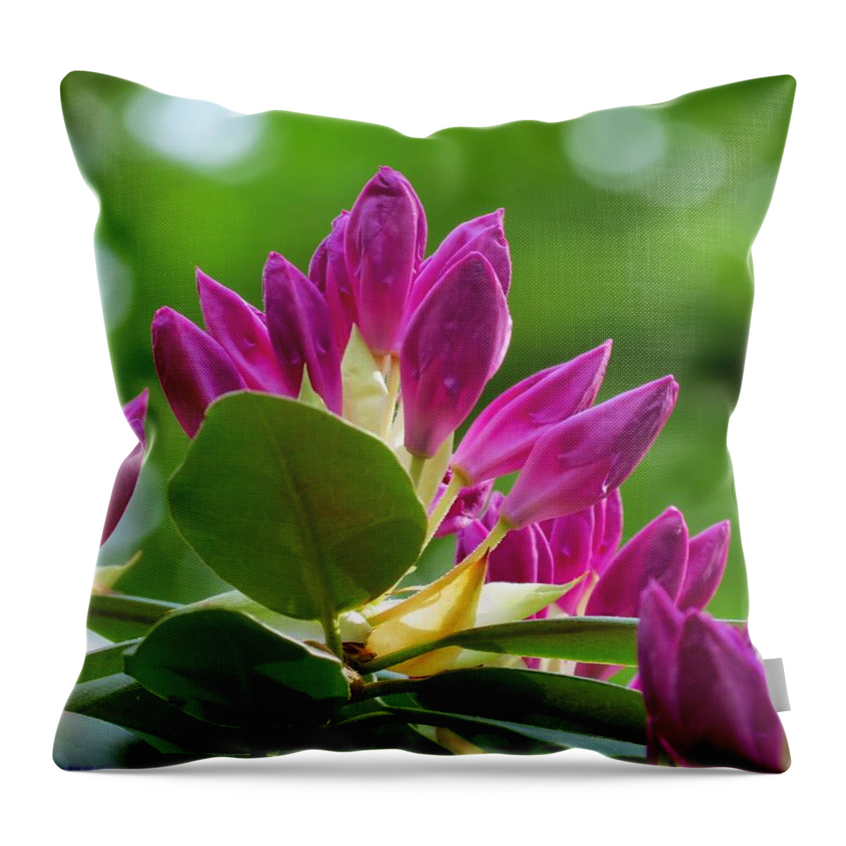 Rhododendron Throw Pillow featuring the photograph Rhododendron Buds by MTBobbins Photography