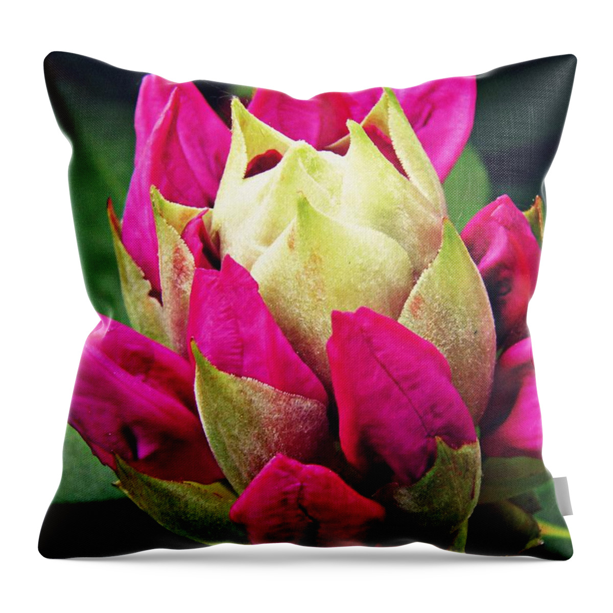 Rhododendron Throw Pillow featuring the photograph Rhododendron Velvet  by Sarah Loft