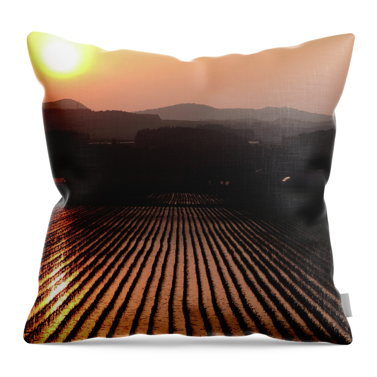 Rice Terrace Throw Pillow featuring the photograph Rice Terrace by Mariel Mcmeeking