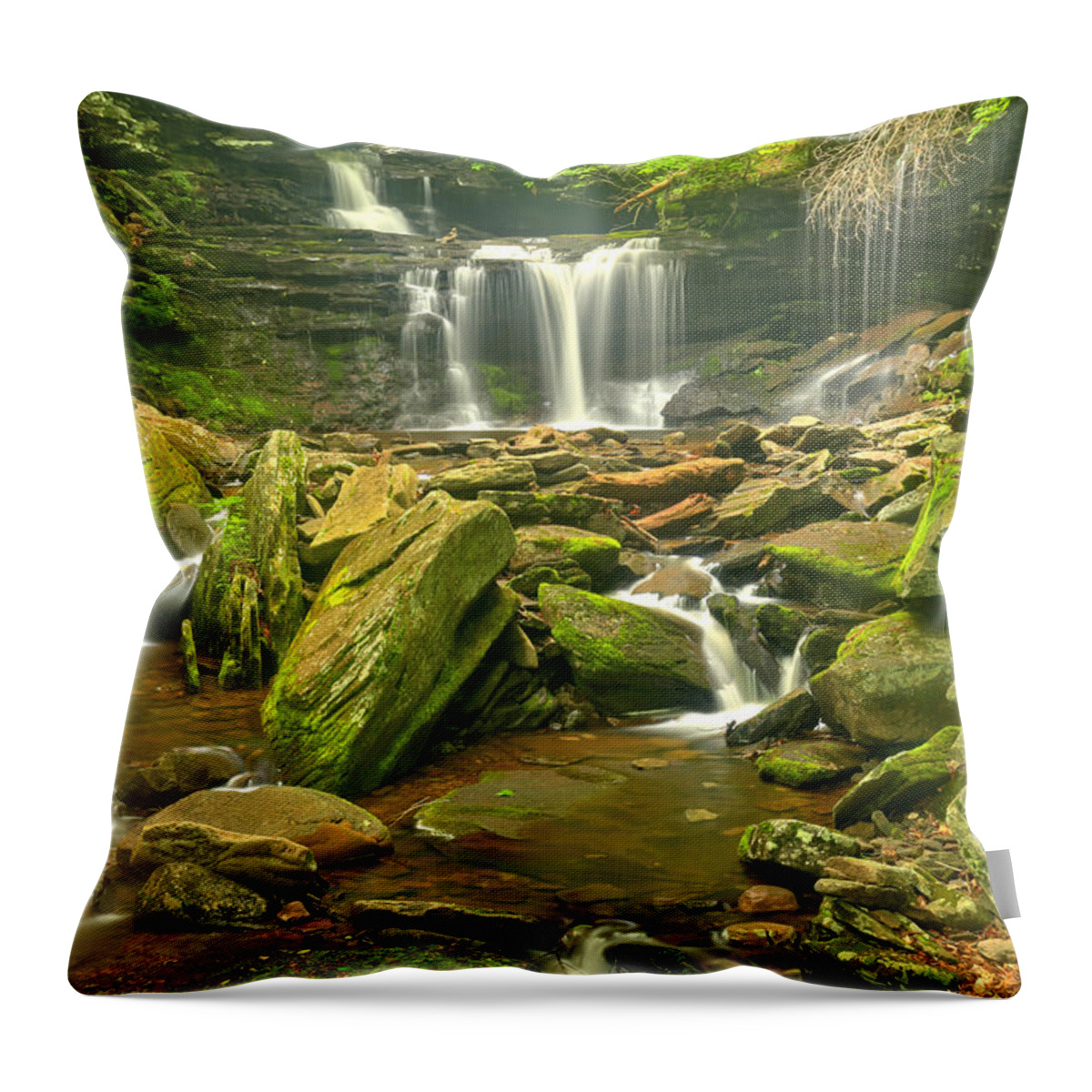 Ricketts Glen Throw Pillow featuring the photograph Ricketts Glen Streaming Waterfalls by Adam Jewell