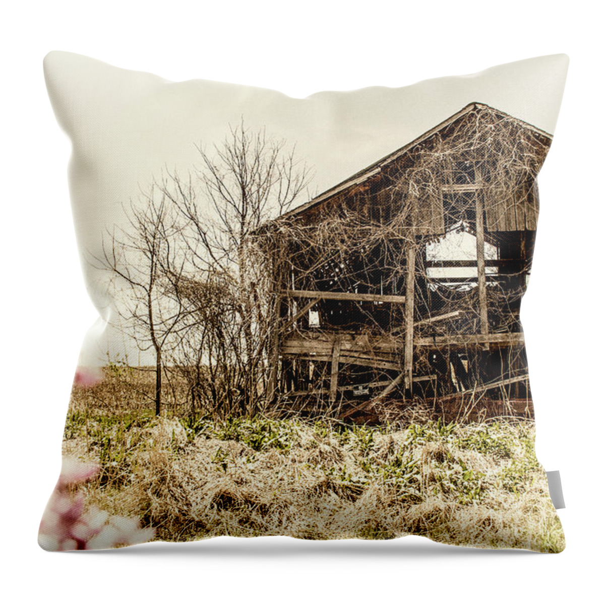 Barn Throw Pillow featuring the photograph Rickety Shack by Pamela Williams