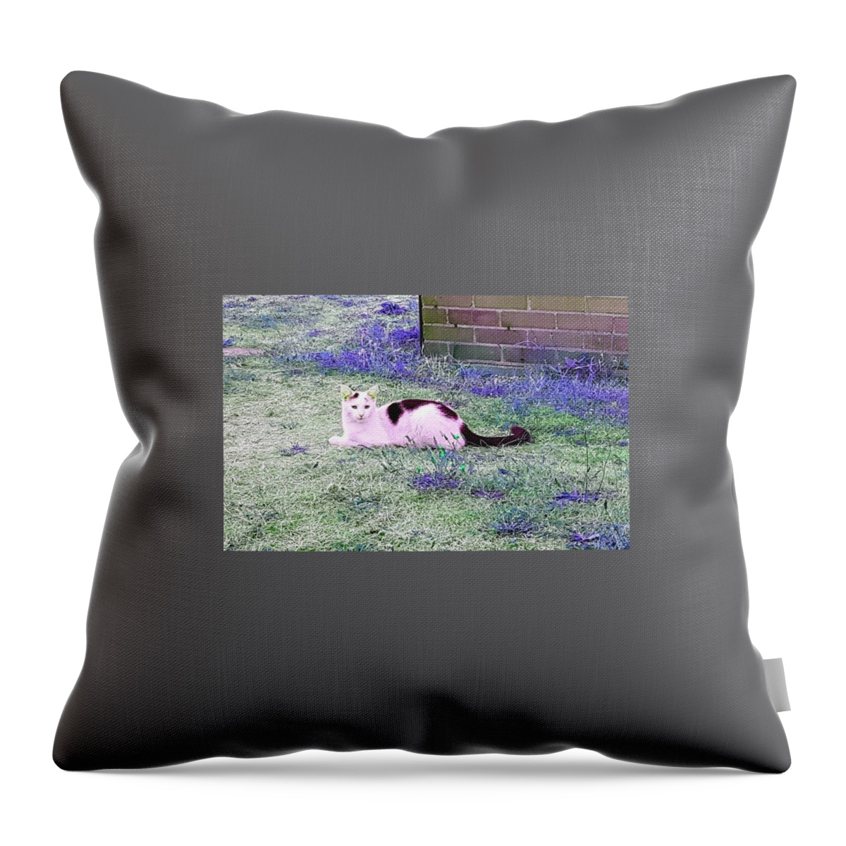 Fantasy Throw Pillow featuring the photograph Rico Resting In Emerald Indigo by Rowena Tutty