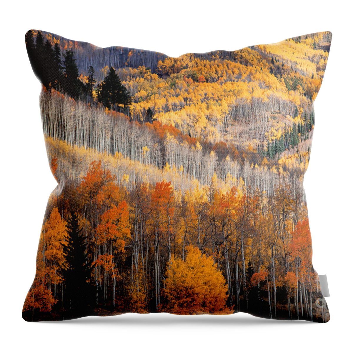 Autumn Colors Throw Pillow featuring the photograph Ridges by Jim Garrison