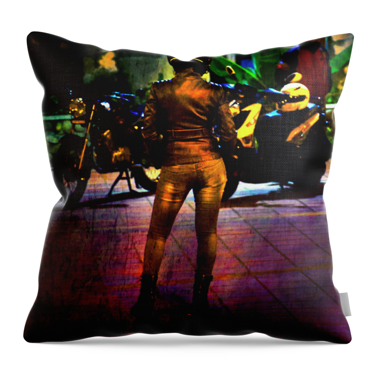 Female Throw Pillow featuring the photograph Riding Companion II by Al Bourassa