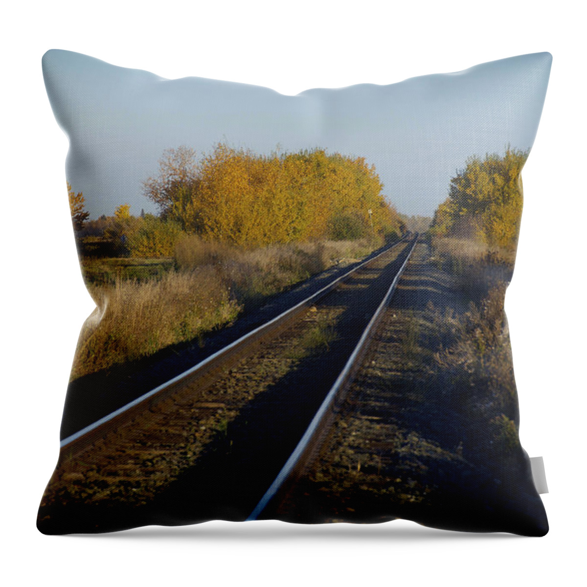 Train Throw Pillow featuring the photograph Riding the Rails by Ellery Russell
