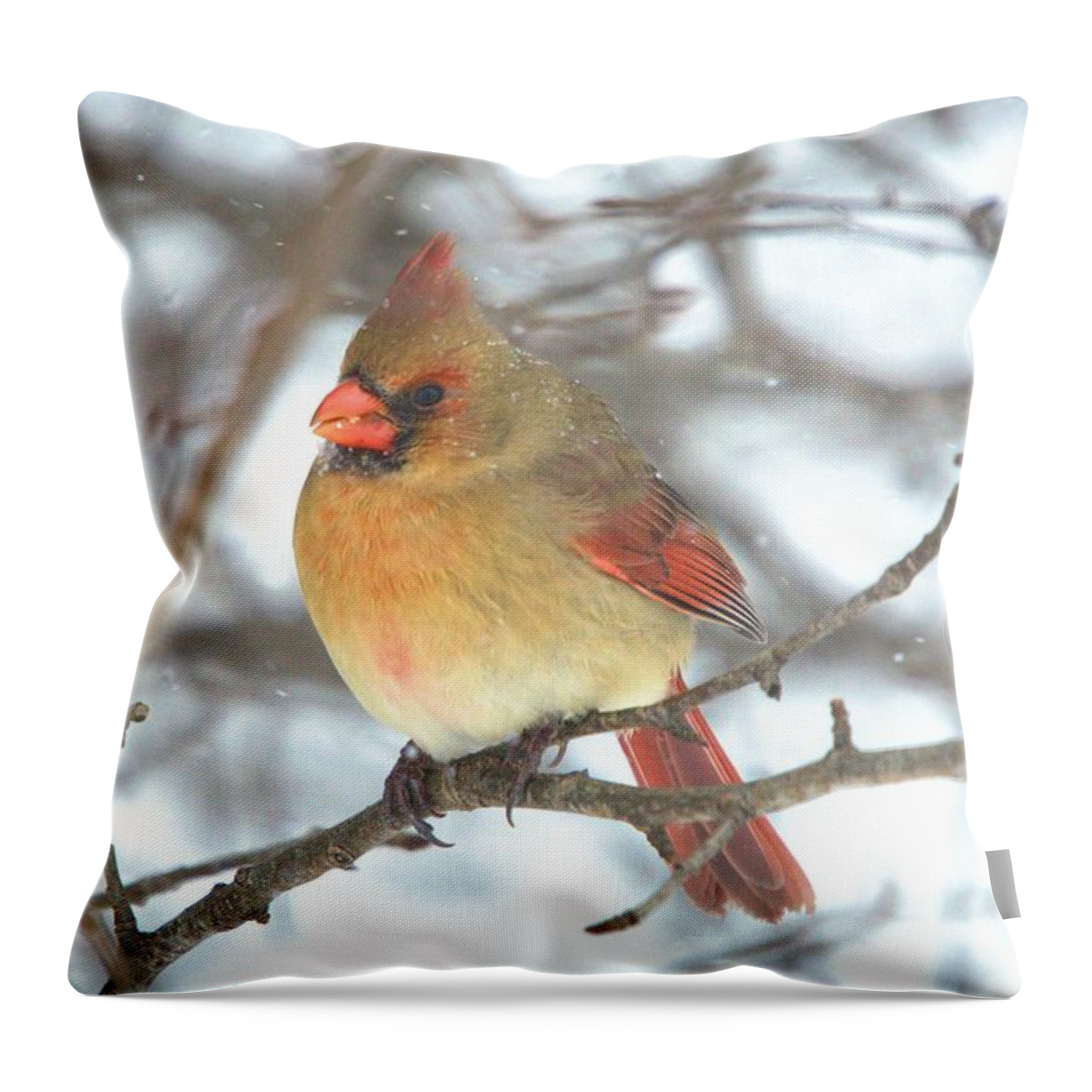Winter Throw Pillow featuring the photograph Riding the storm out by Bonfire Photography