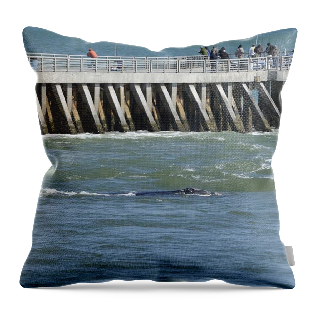 Right Whale Throw Pillow featuring the photograph Right Whale at Sebastian Inlet by Bradford Martin