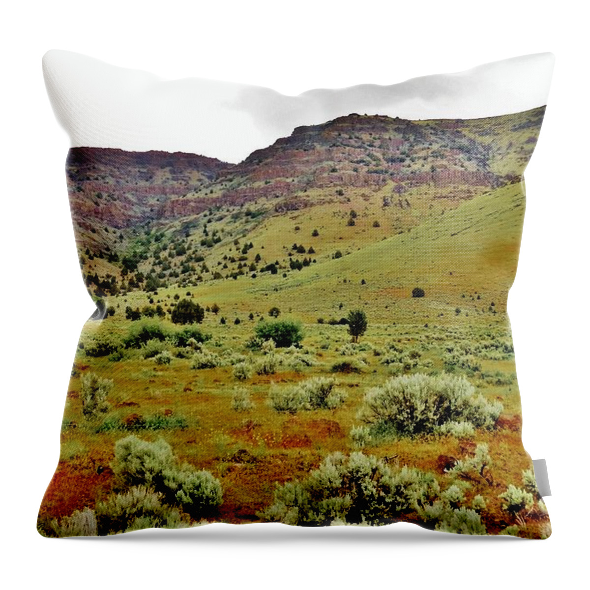 Eastern Oregon Throw Pillow featuring the photograph Rim Rock and Sage Brush by Michele Penner