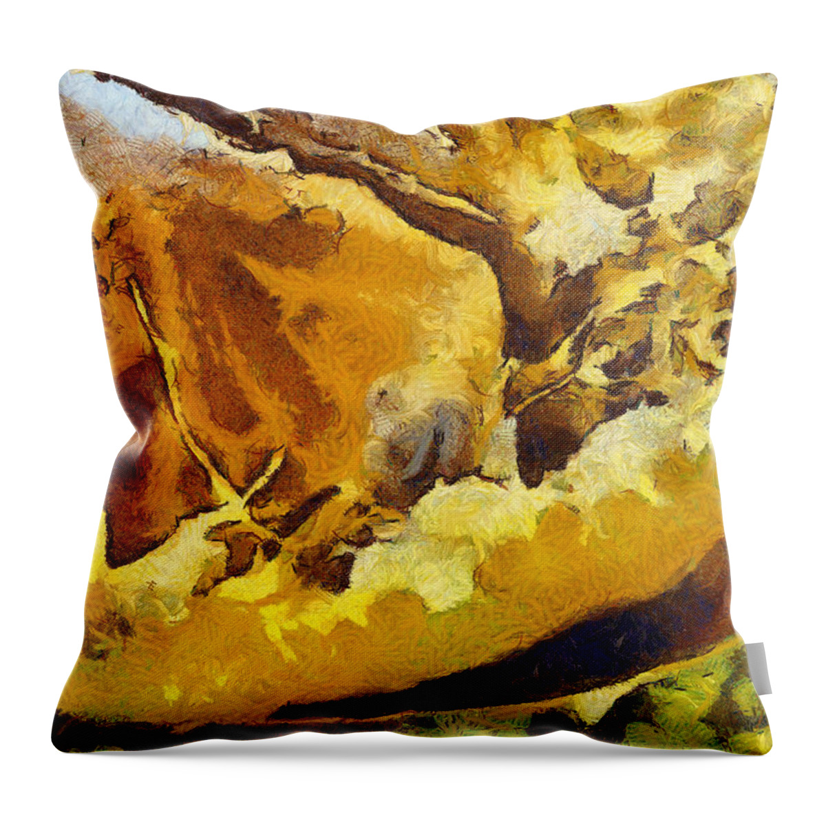 Papaya Throw Pillow featuring the photograph Rind of a fruit by Ashish Agarwal
